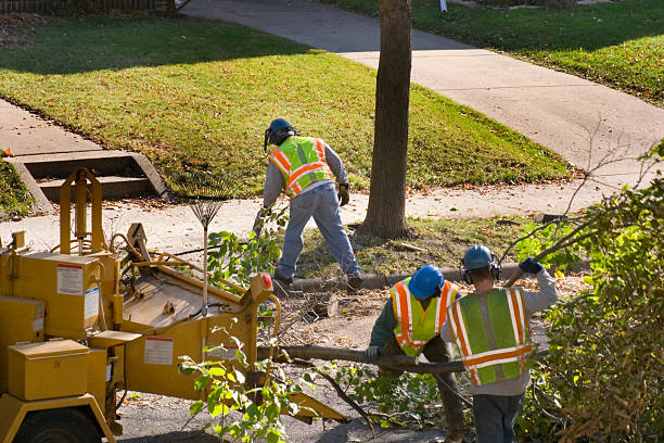 Seasonal Cleanup (Spring/Fall) in Harlan, IA